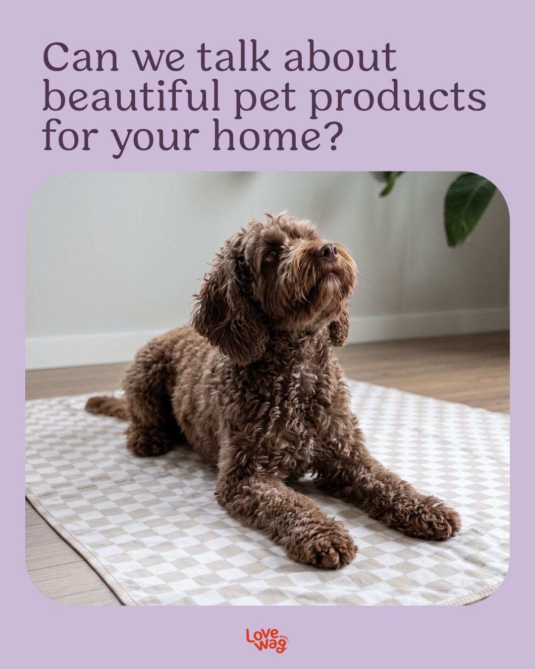@Lovewag Pets
