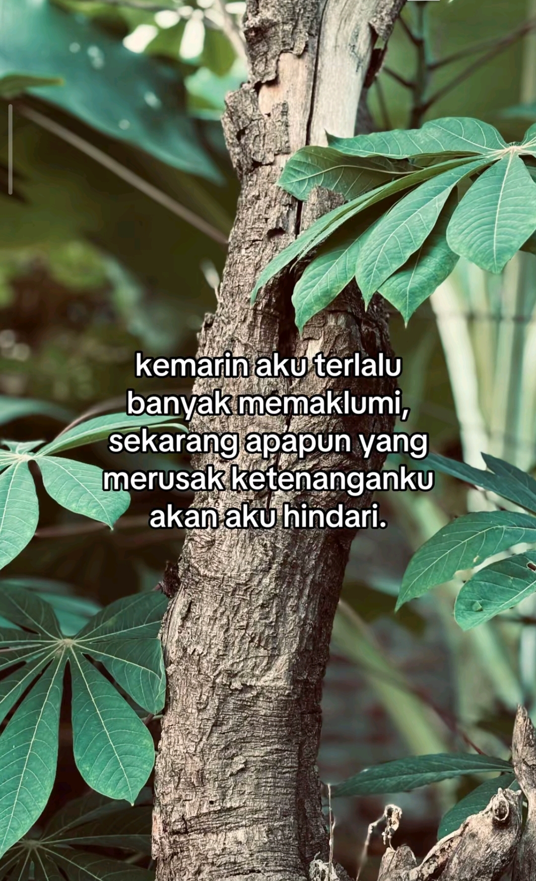 @DASTAN PUTRA