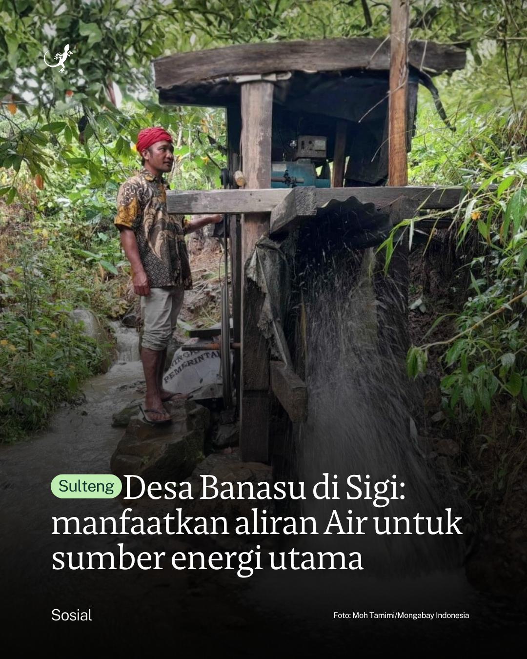 @mongabayindonesia