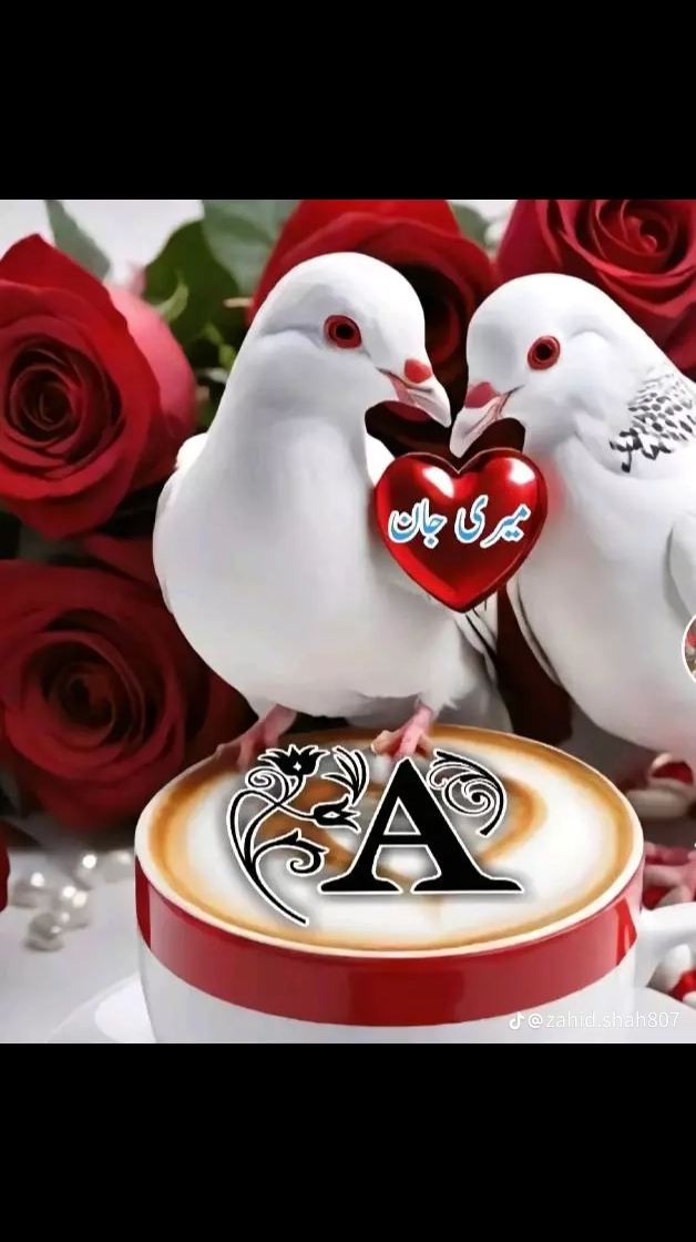 @Muhammad Shahbsz