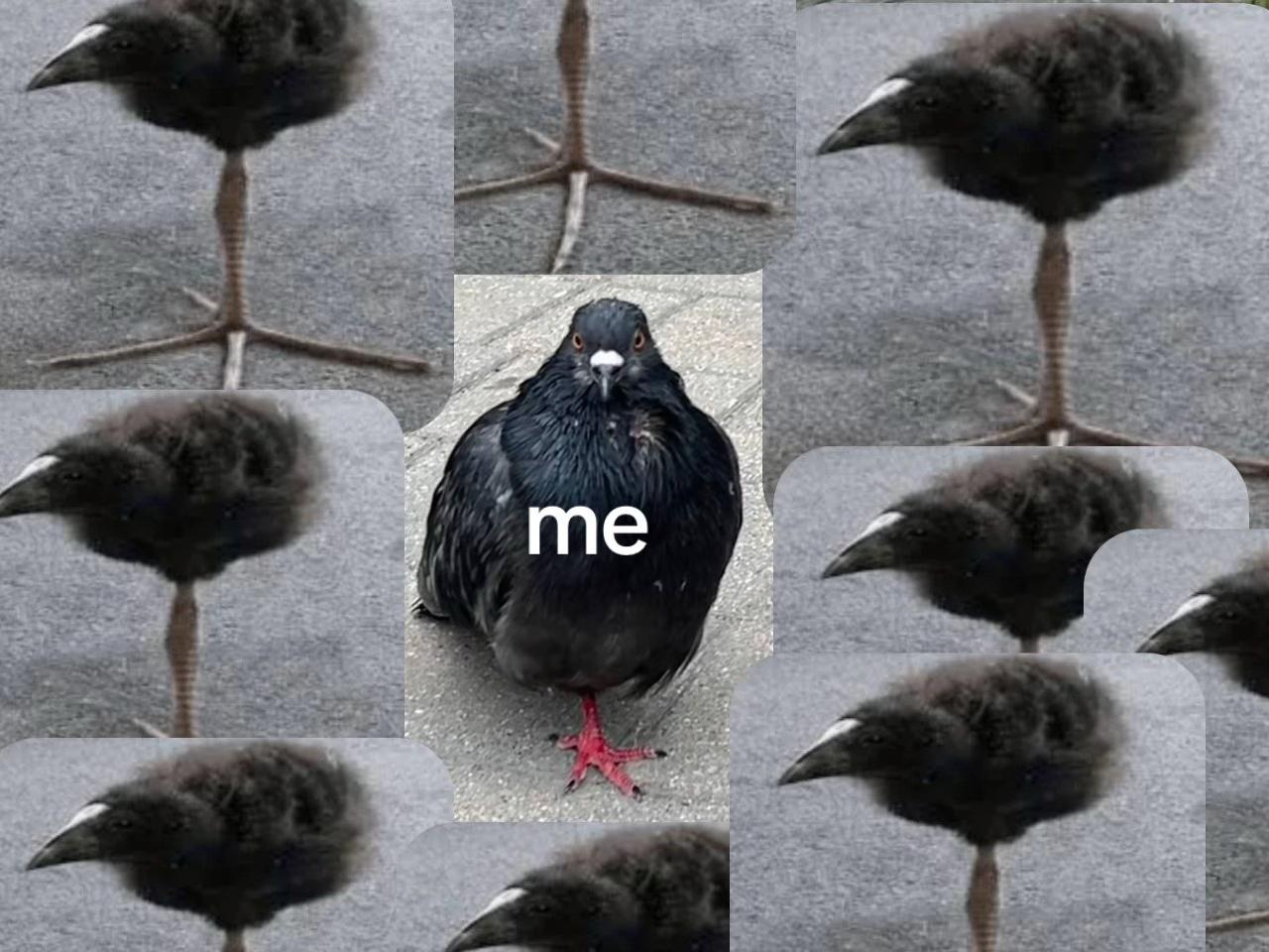 @uvummi6