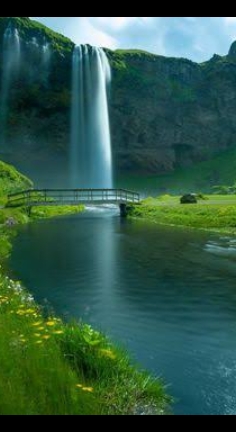 @naturelover1979
