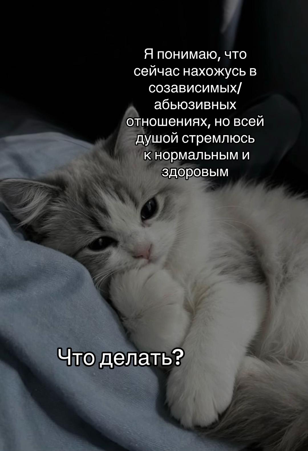 @тгк: психология с марго