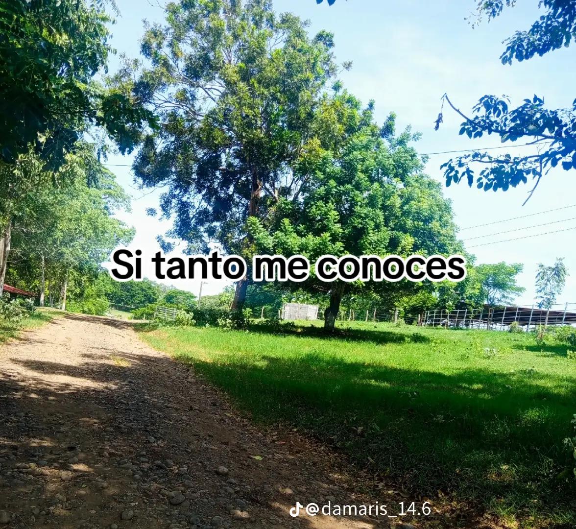 @Sandra Diaz