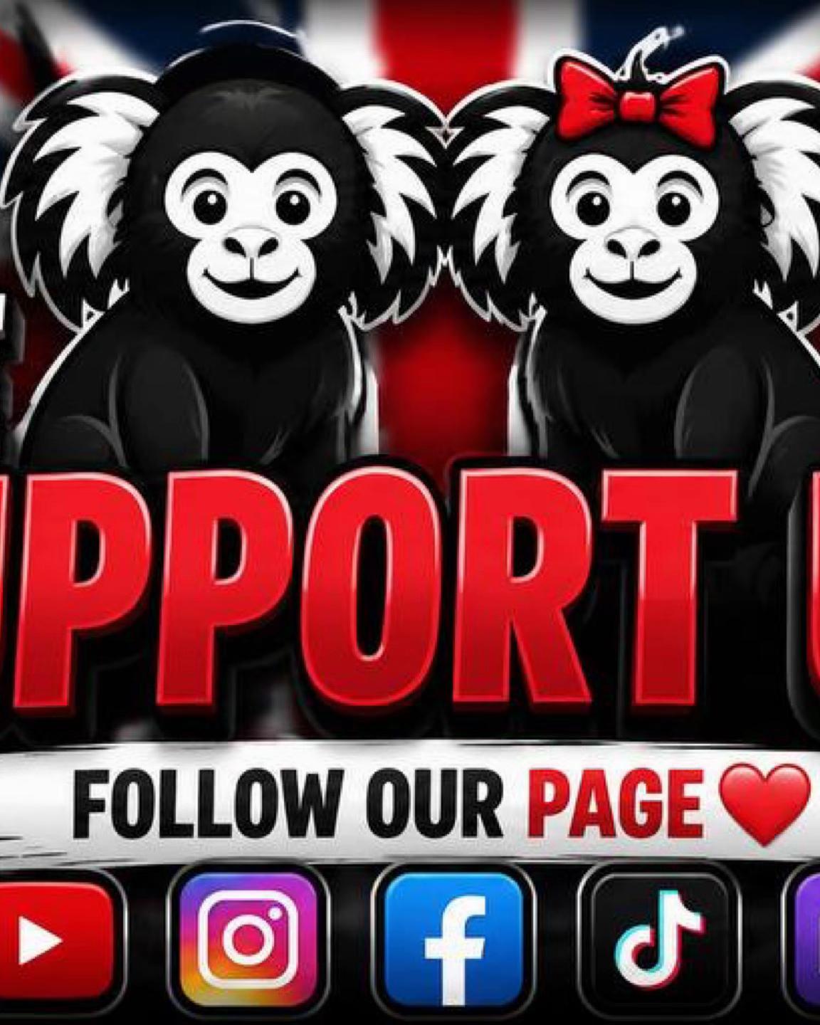 @ᴍᴀʀᴍᴏꜱᴇᴛ ᴘᴀʀᴀᴅɪꜱᴇ 🇬🇧🐒