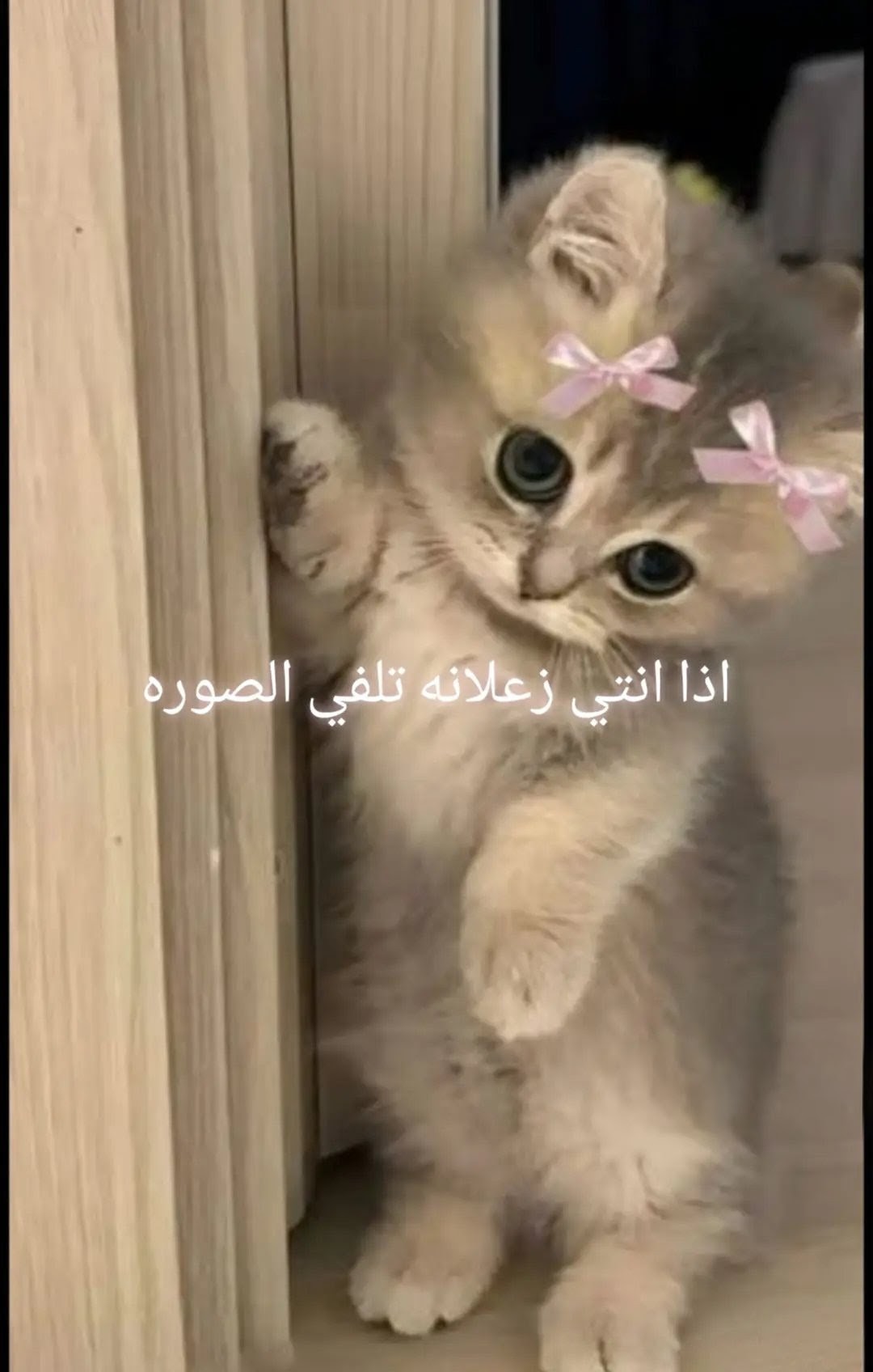 @𖦹⭑✰ 𝒔𝒕𝒂𝒚𐙚𖦹&bull;✰