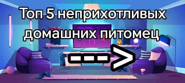 @Kapuzi4