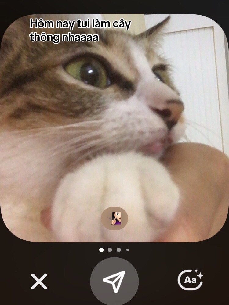 @t là pate🐈