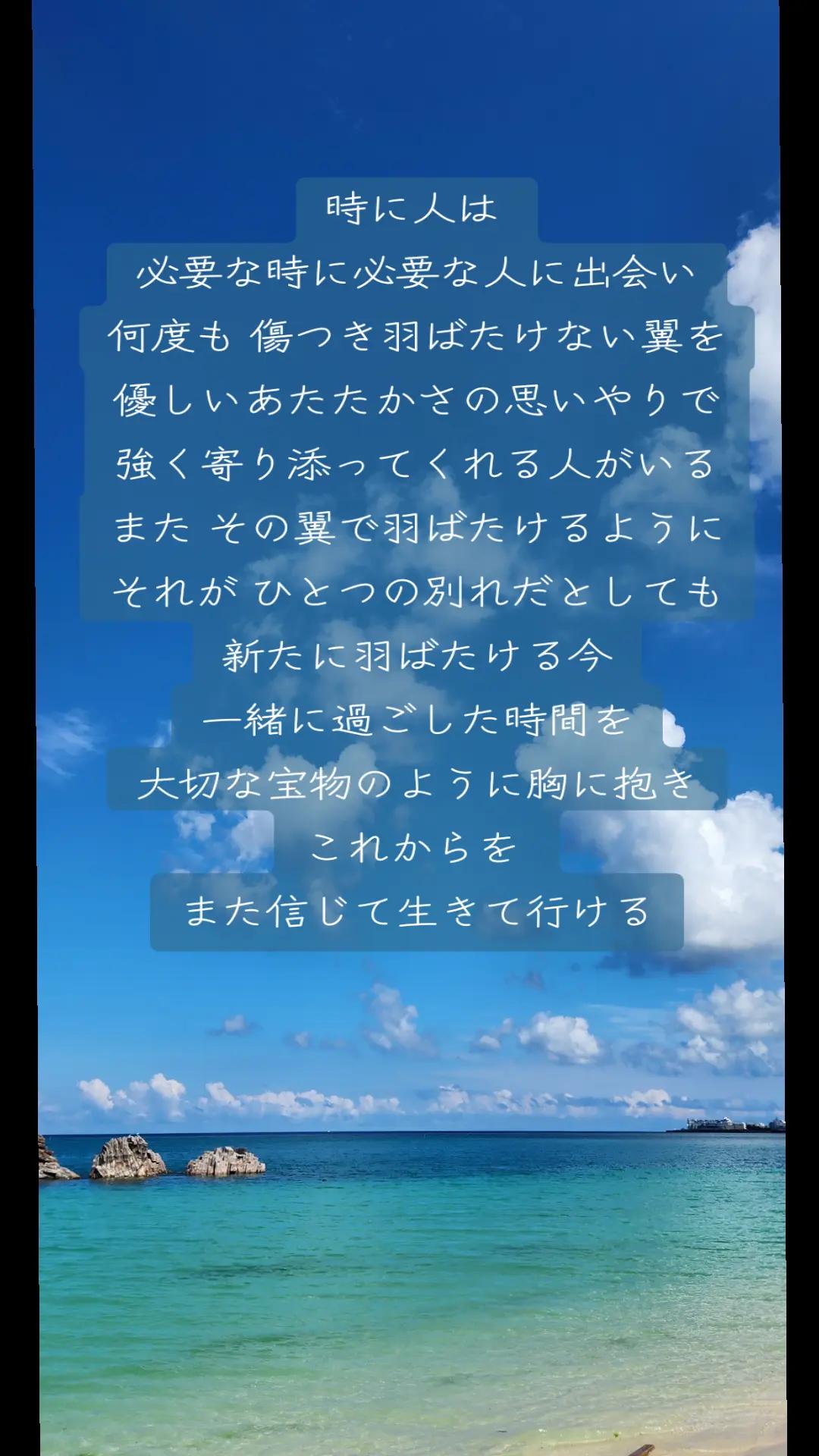 @꧁꒰ঌMeg໒꒱꧂