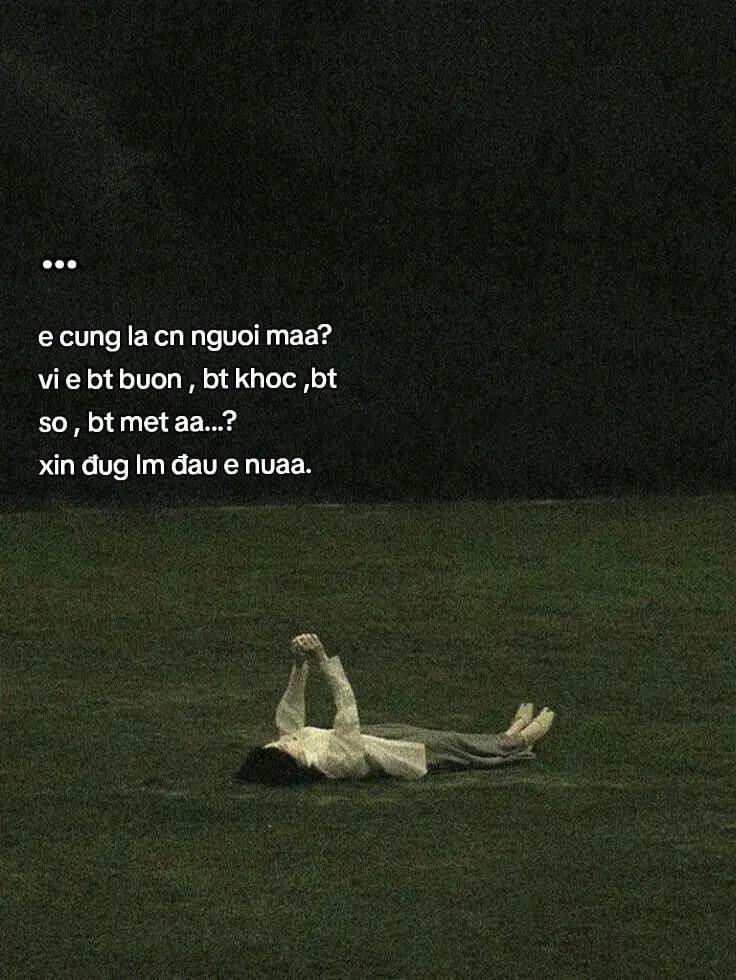 @≽^• ˕ • ྀི≼