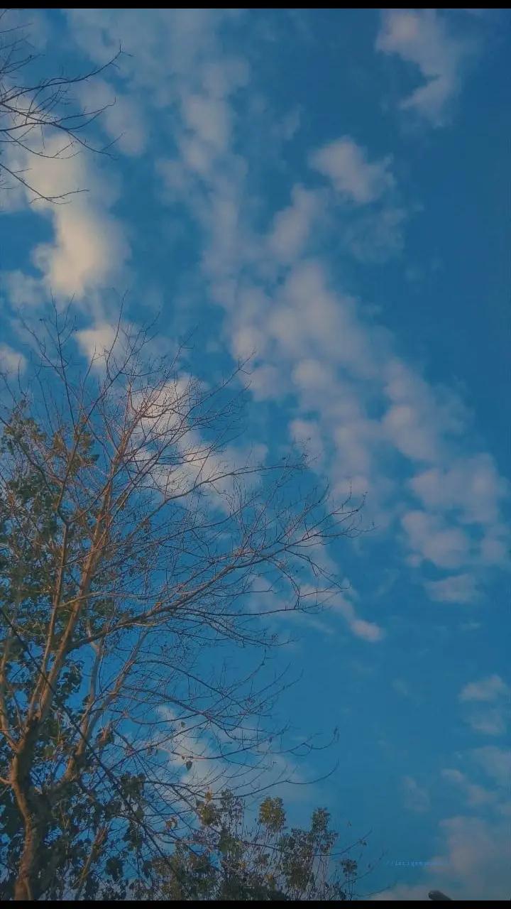 @Asta_negara02