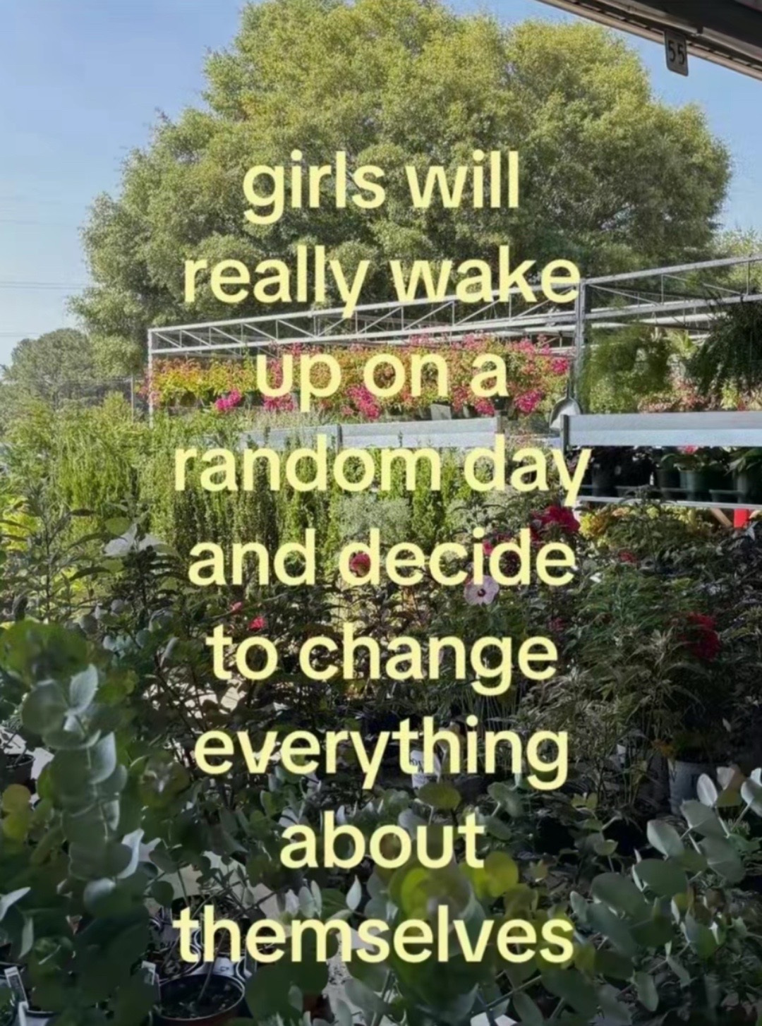@Ray