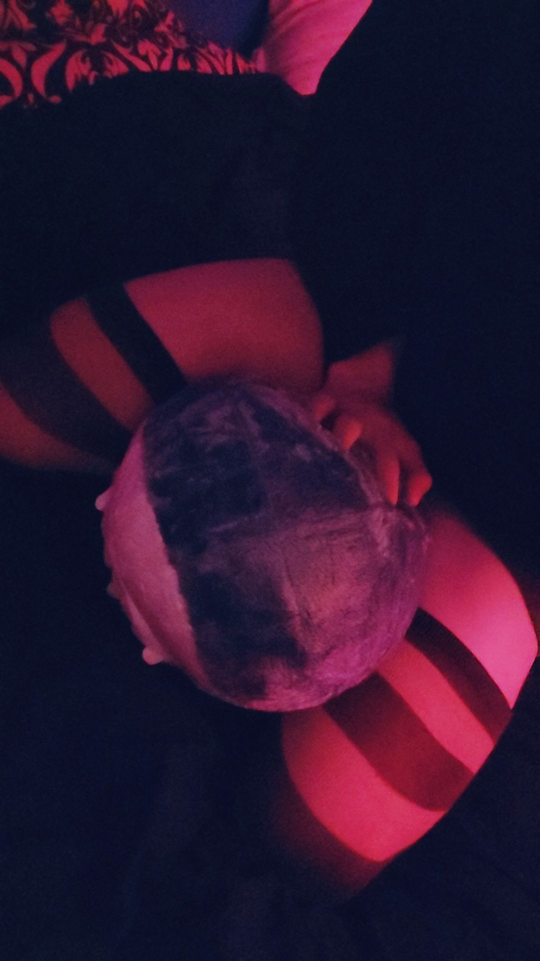 @&bull;∘🤍 𝓣𝓪𝔂𝓵𝓸𝓻 🦈∘&bull;