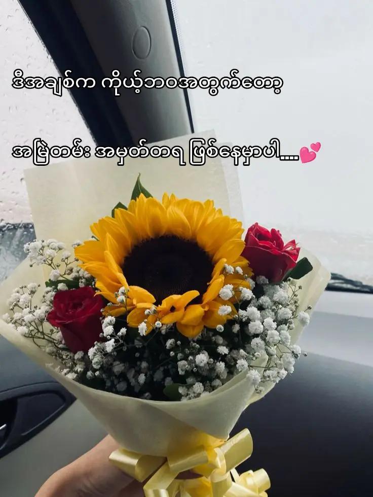 @16.2 đ