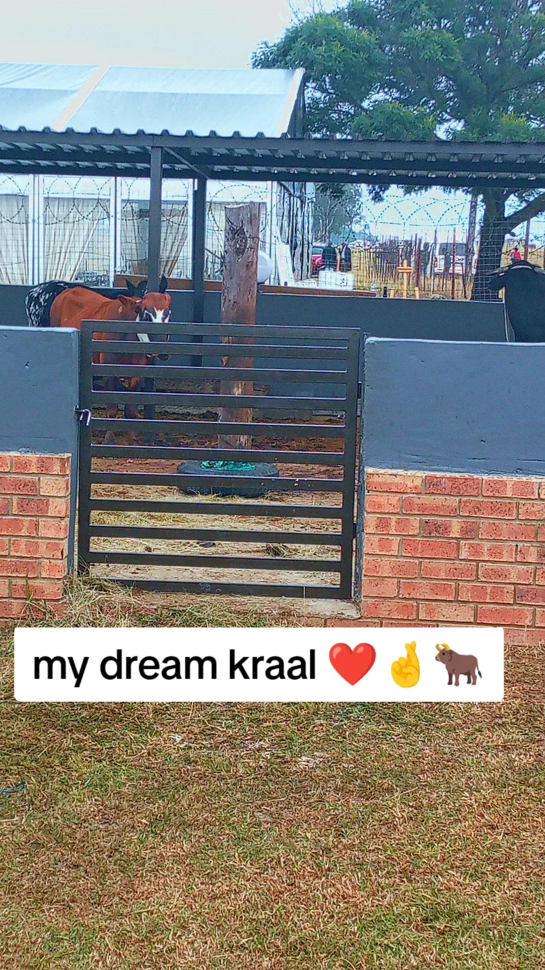 @Duma Mazibuko Emtshezi