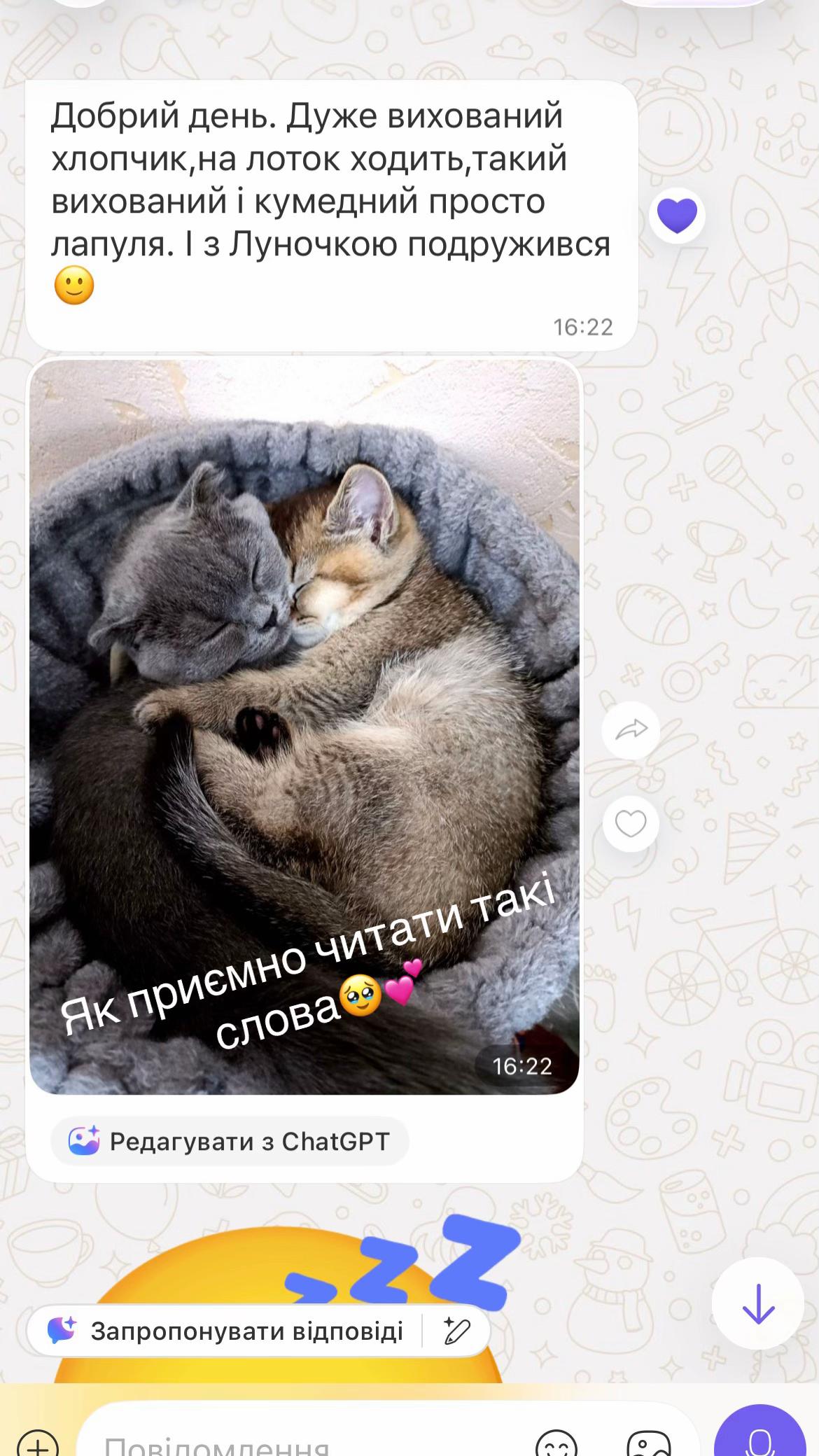@Джессі-Річчі