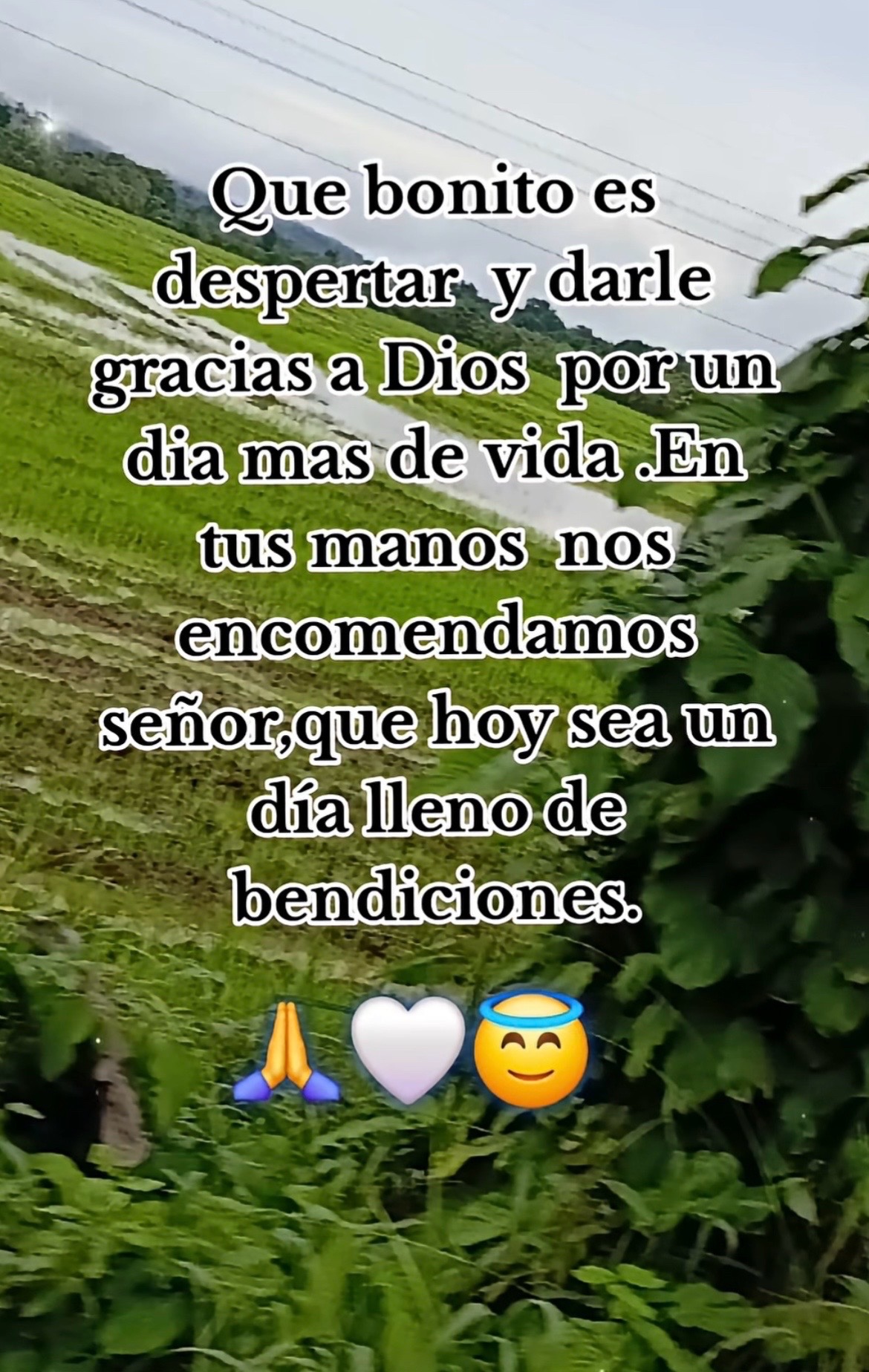 @Maria Romano
