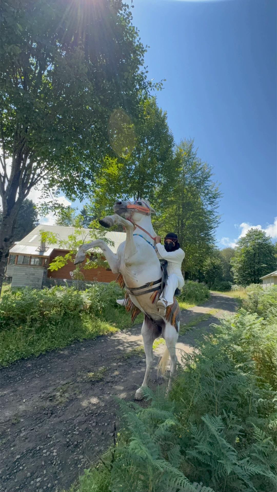 @فَآطُمہ صالح 🐎