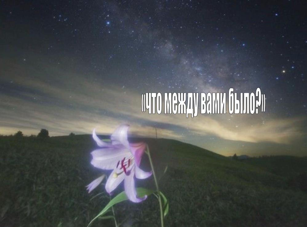 @nervvka