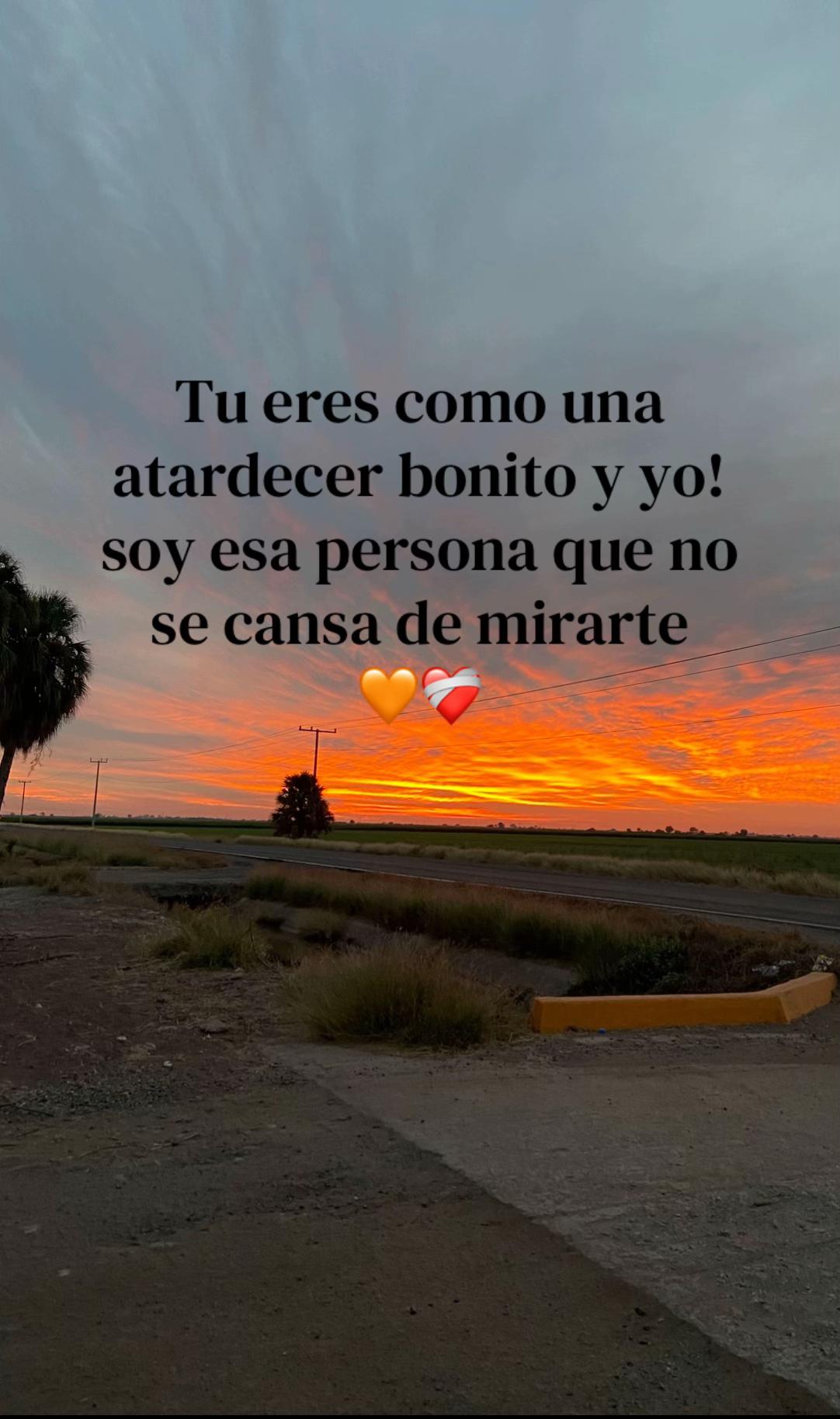@&hearts;︎Flor&hearts;︎