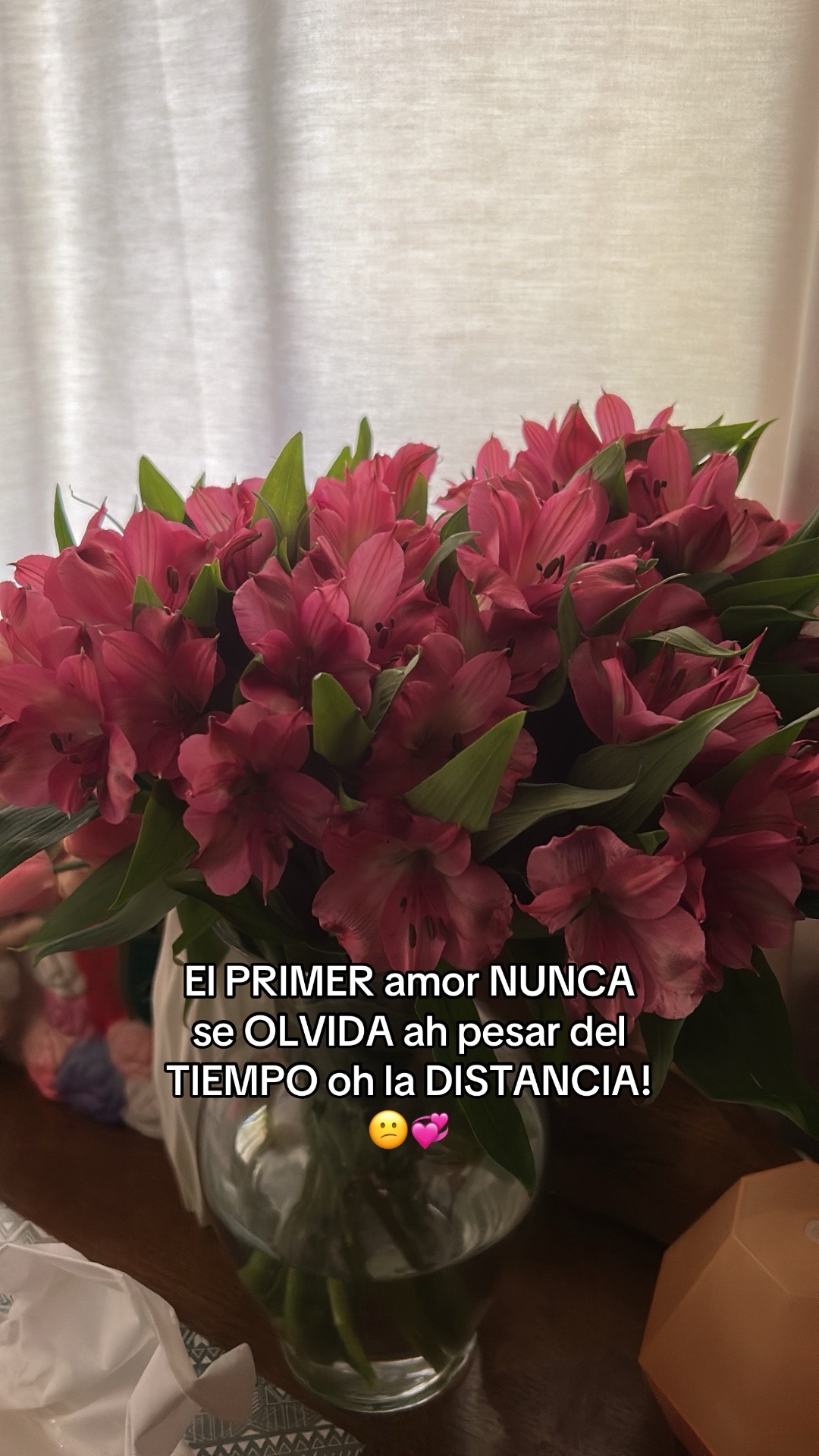 @NaNcy Quiroz