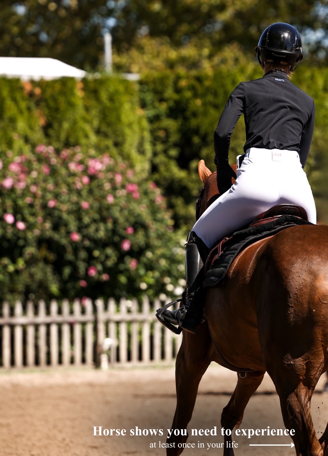 @Equisite Elements of Style