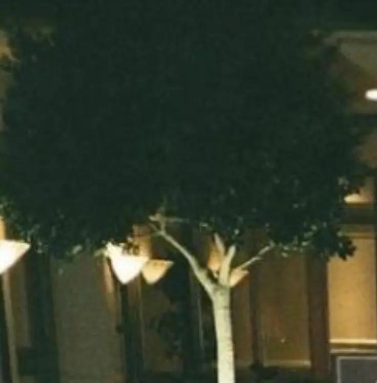 @𝘼𝙈𝙄𝙀 𝙏𝙀𝘾𝙃𝙉𝙊𝙇𝙊𝙂𝙔