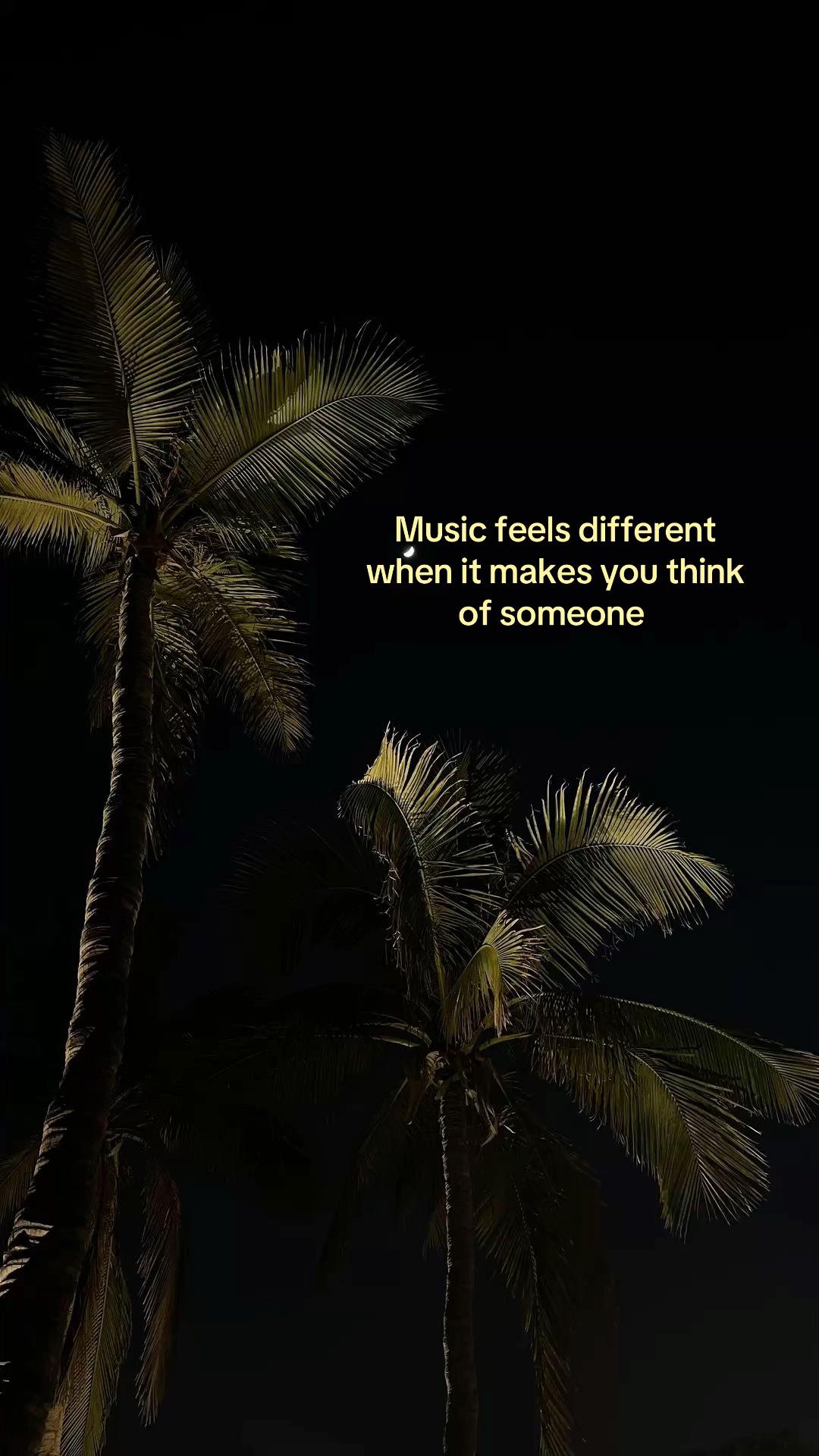 @FIA🐠✨