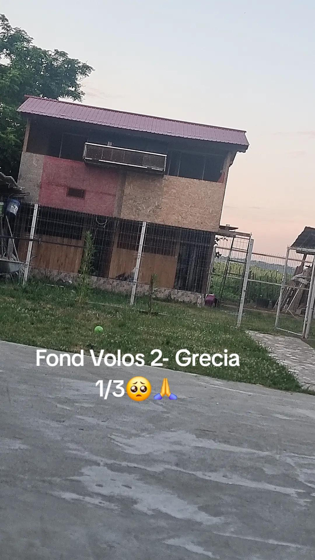 @Floryn Ionescu