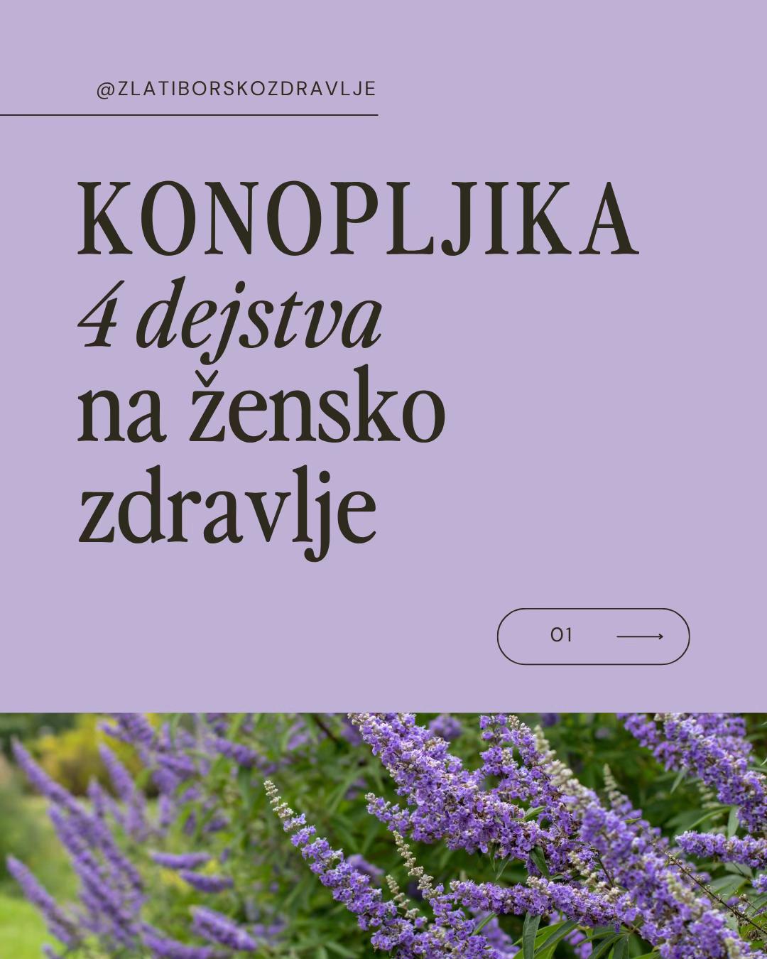 @Sandra🌷Zlatiborsko Zdravlje