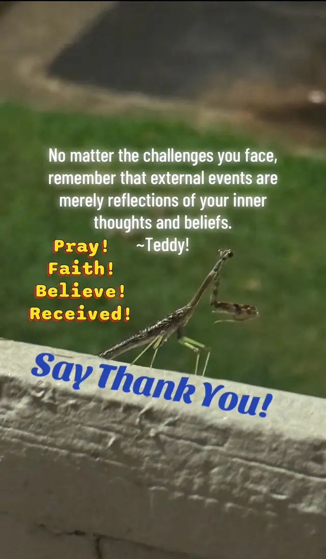 @teddysspiritualworld