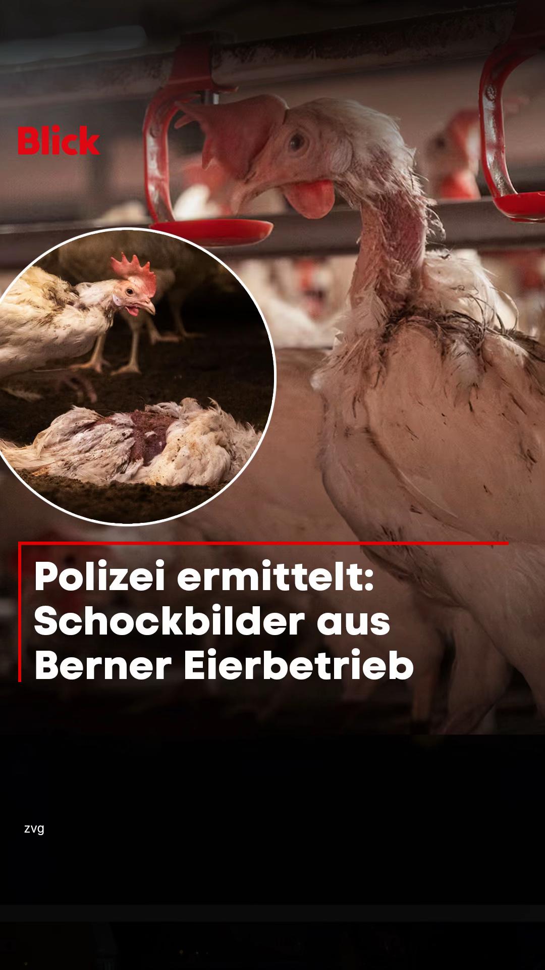 @Blick
