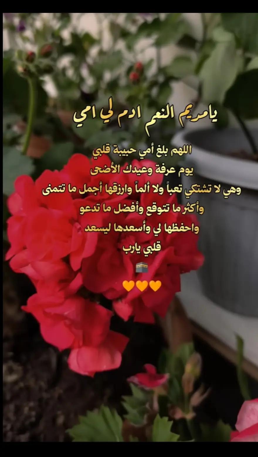 @ماروكو