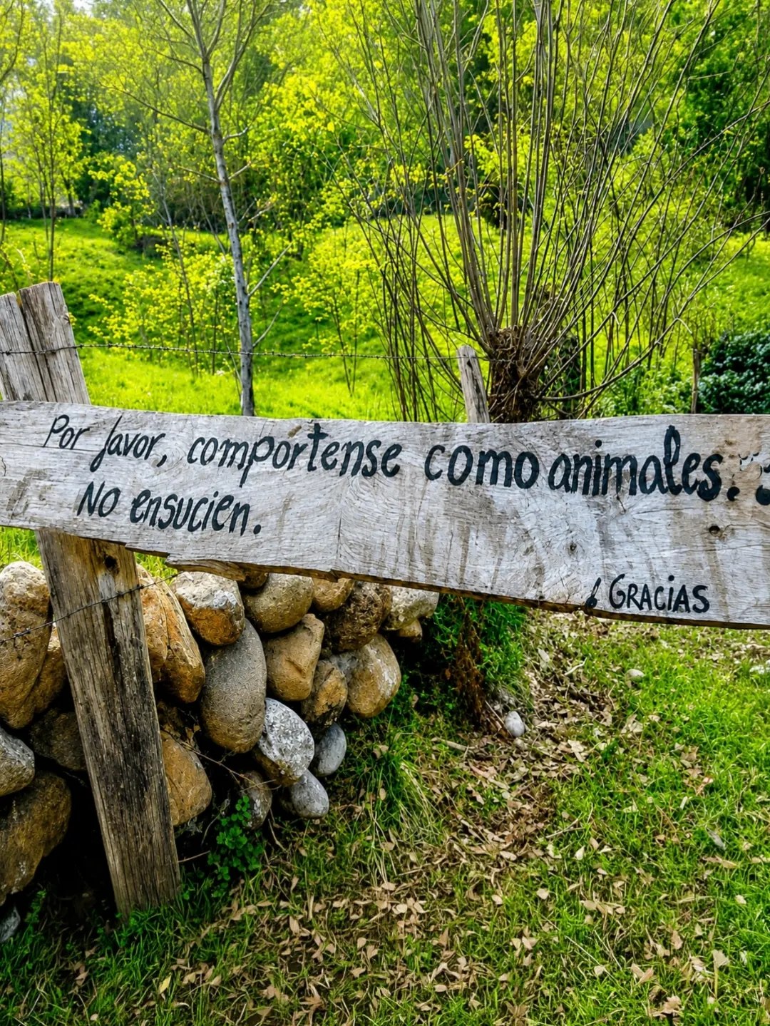 @Viviana Calabrese
