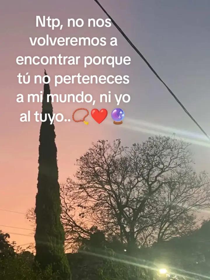 @Avril Garcia