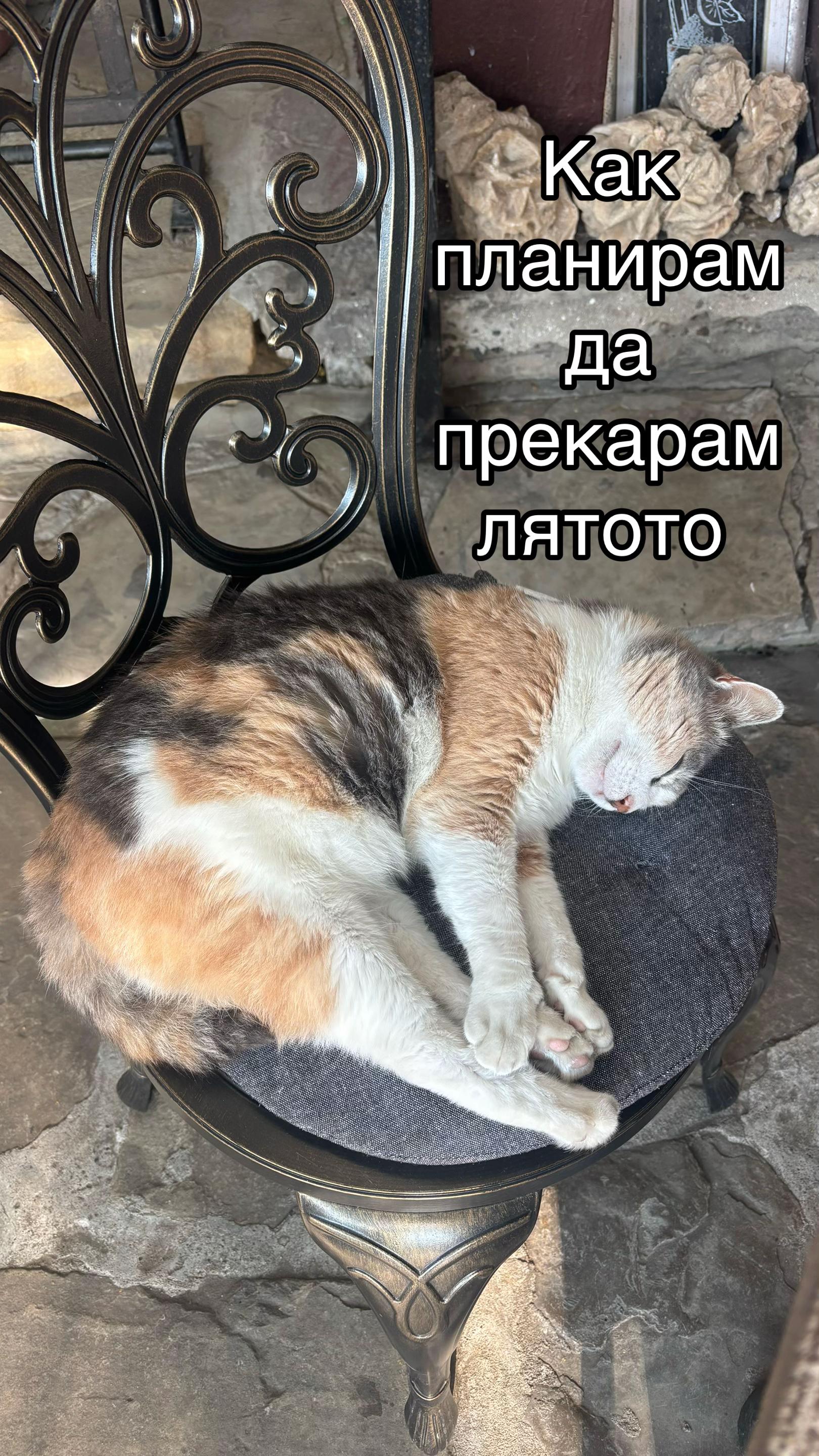@Ivanina