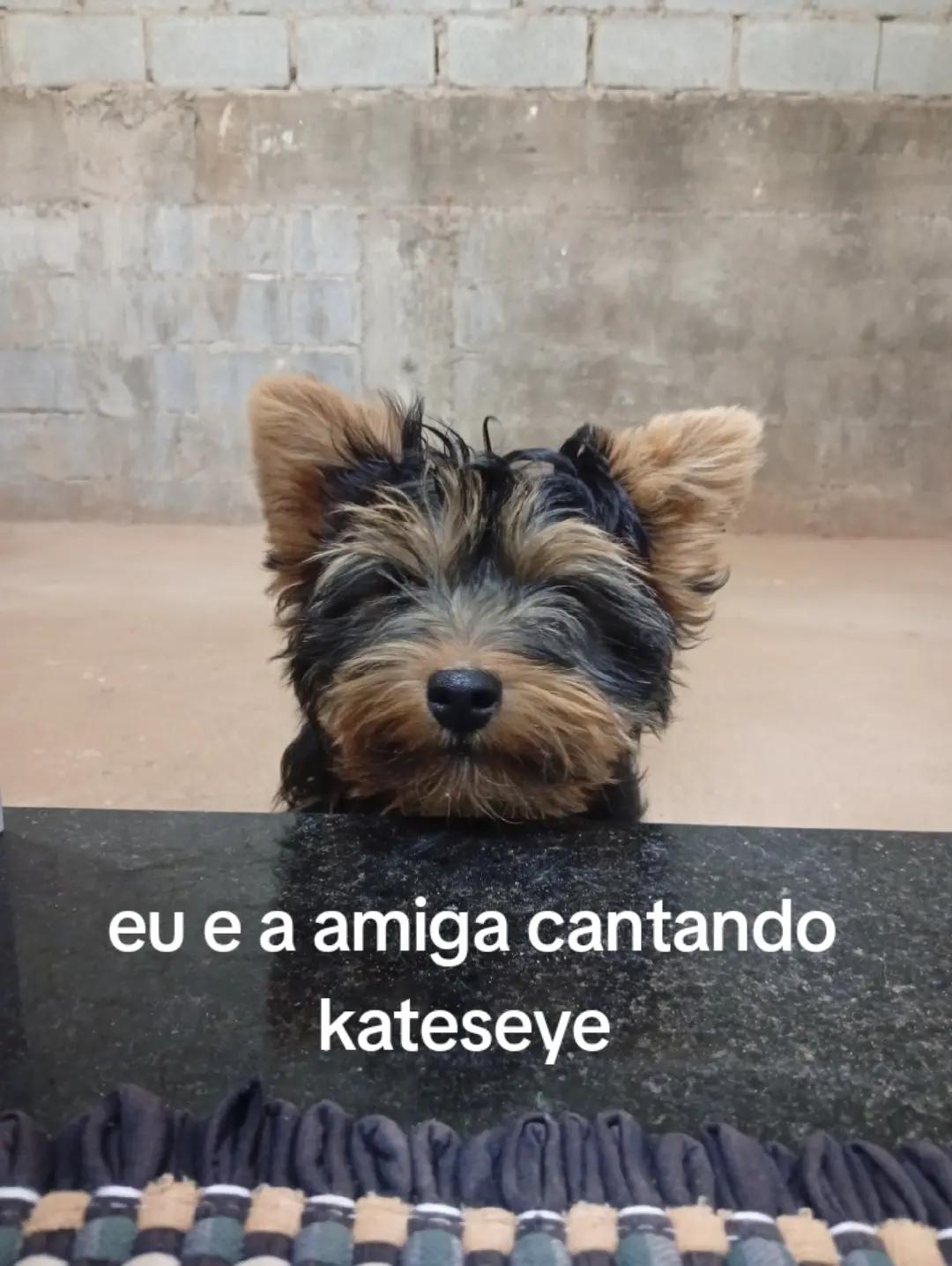 @💖 Letícia e príncipe 🩵