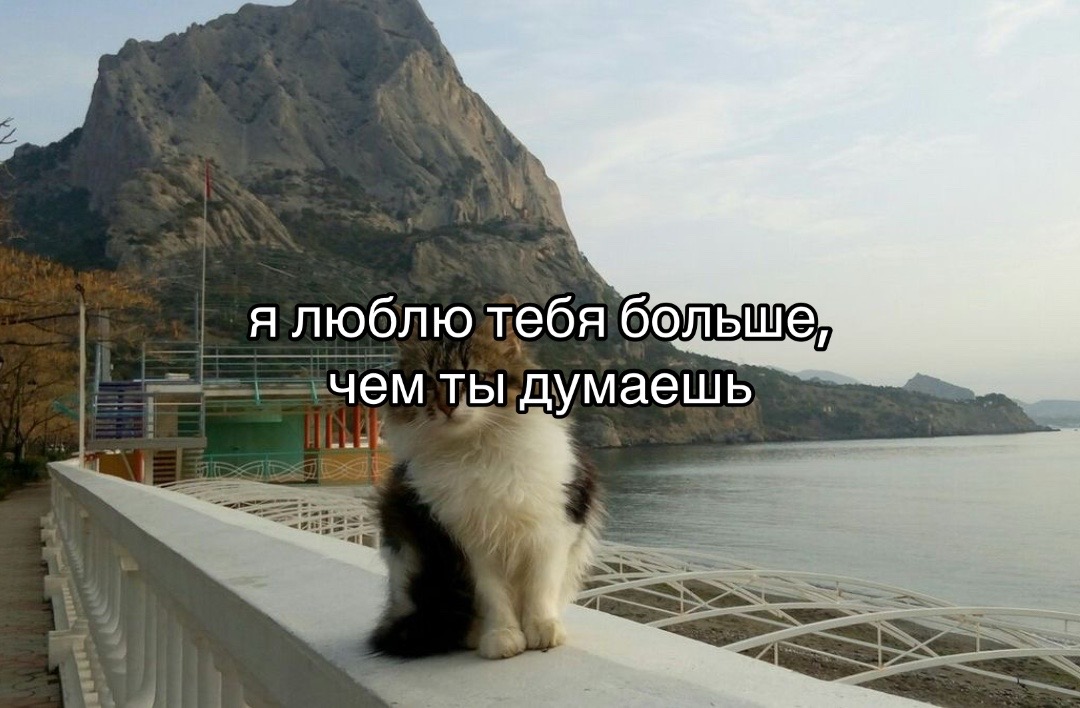 @I hate you.