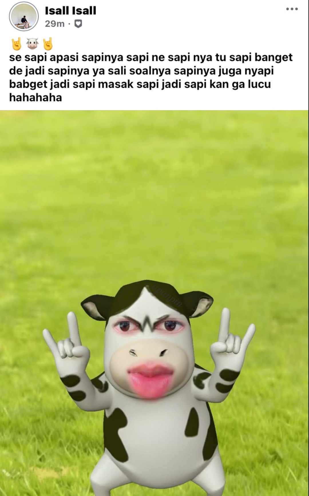 @icaaaaaca