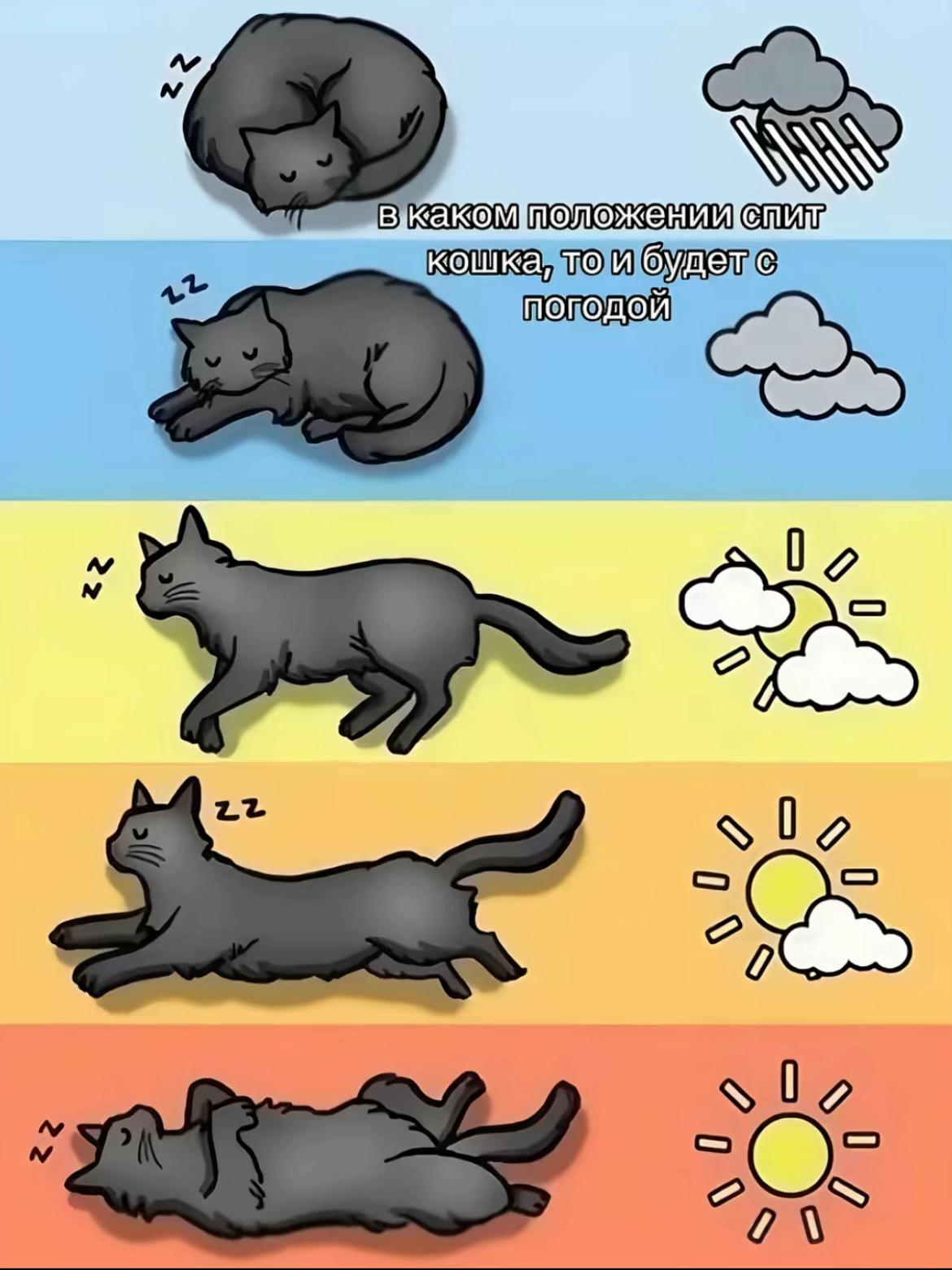 @чиф