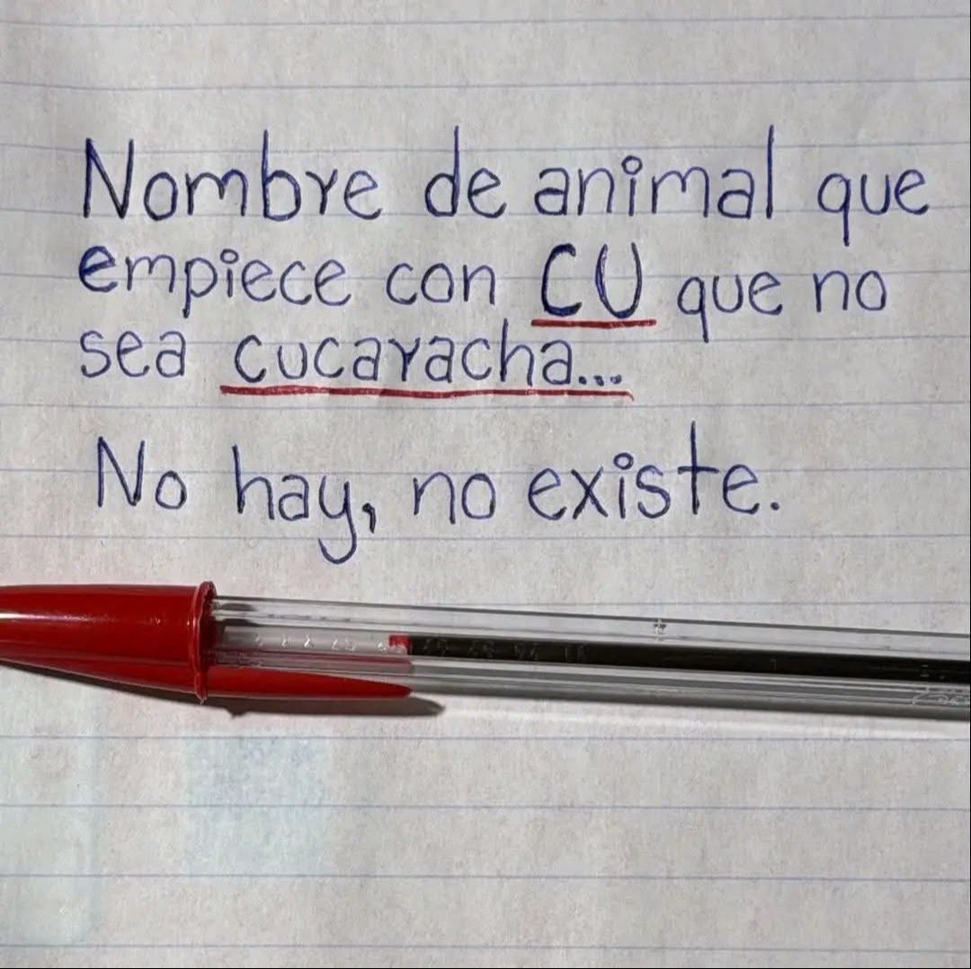 @Tomasitochum