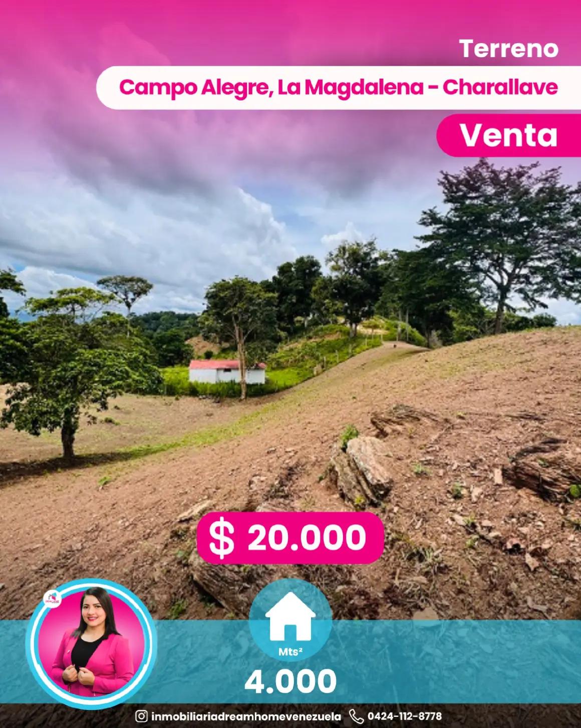 @Dream Home Venezuela