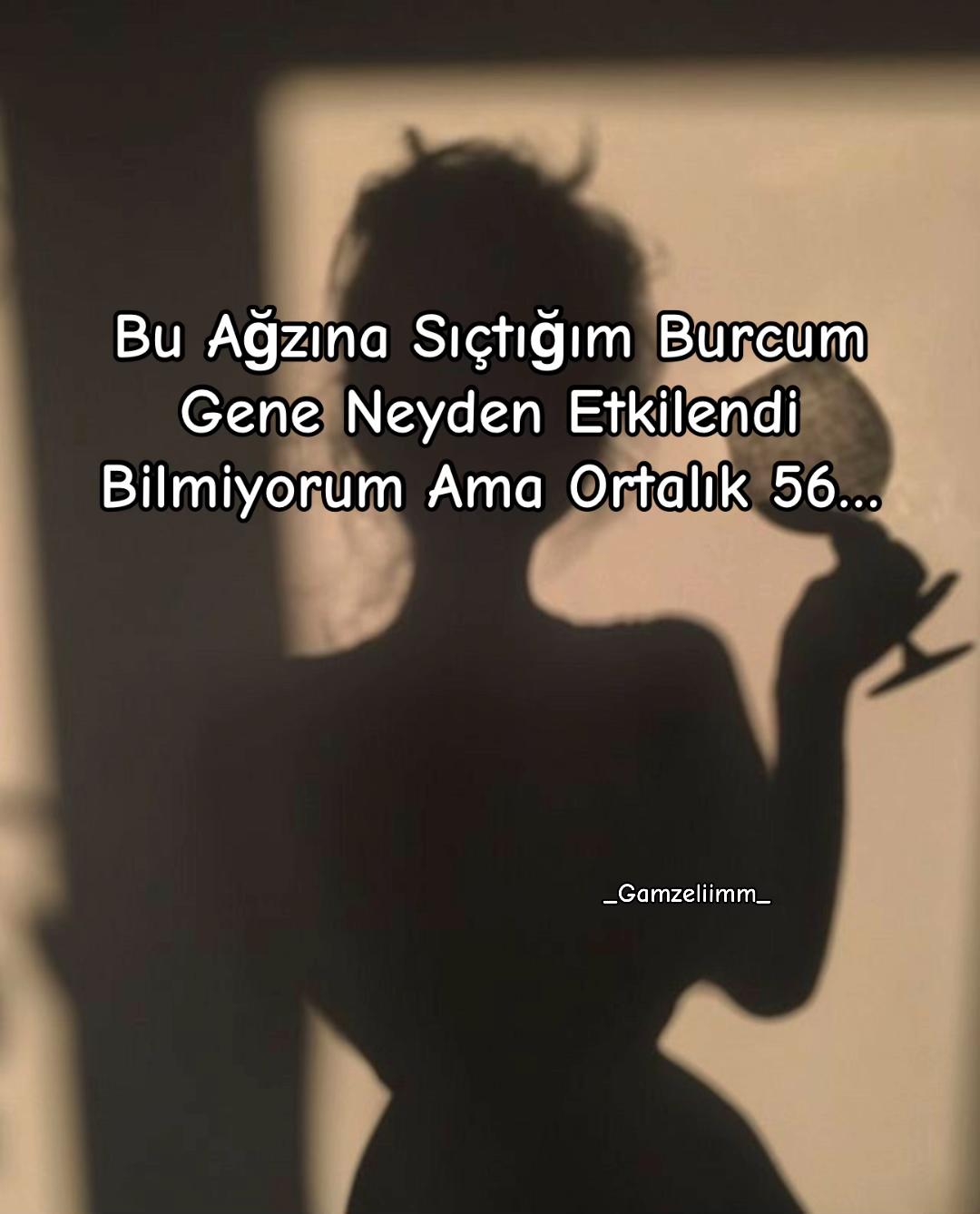 @Gamzeliimm