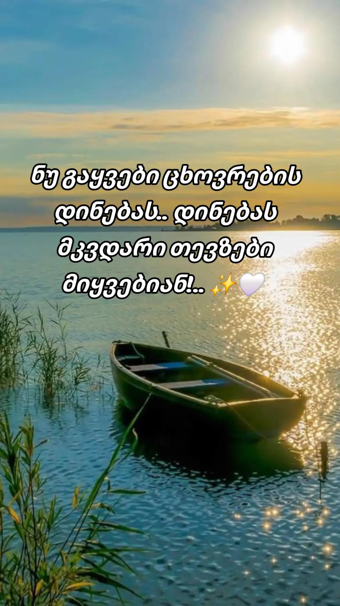 @TEKO๐๐ฆ๐ค