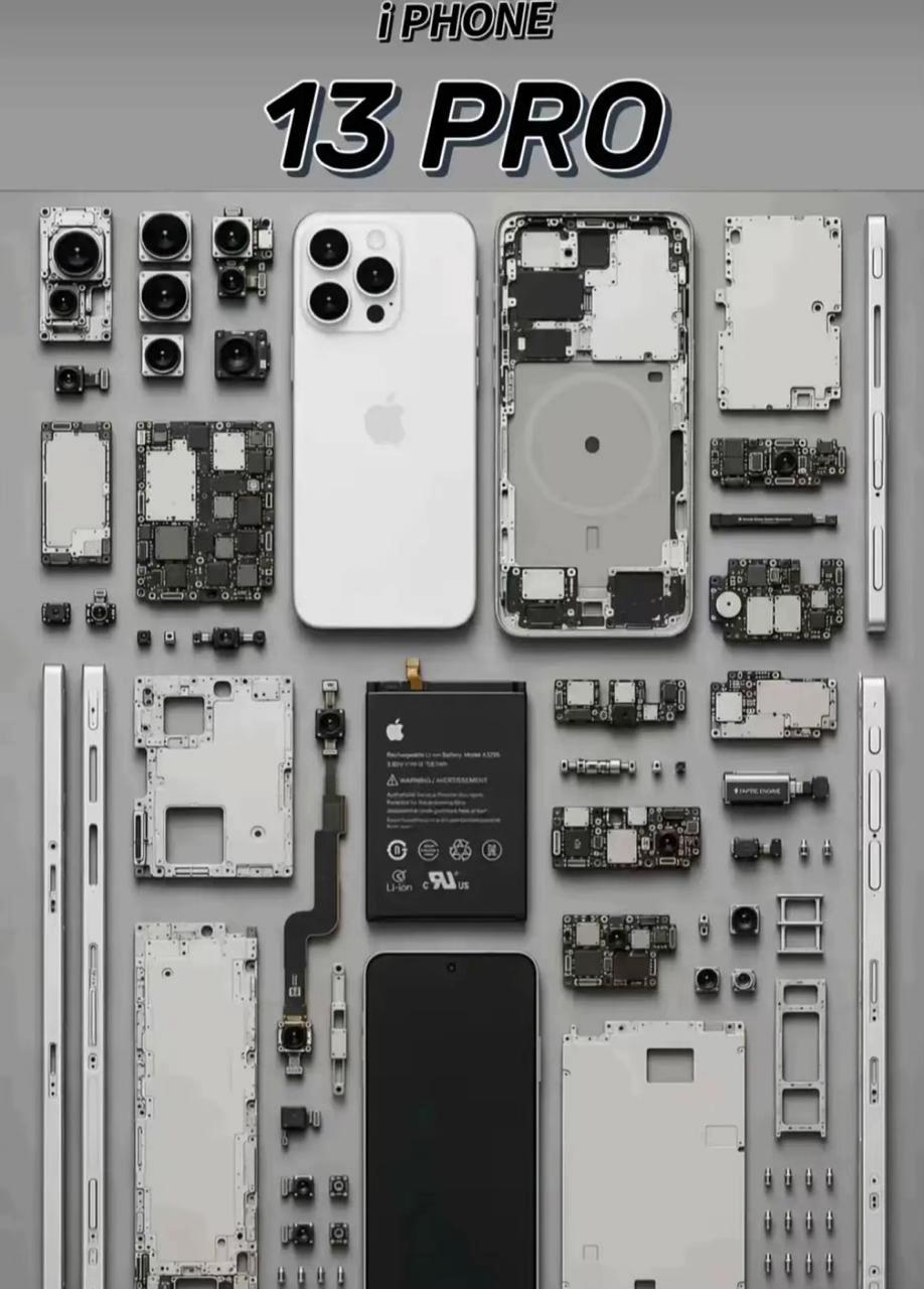 @-𝐍𝐀𝐅𝐔 .