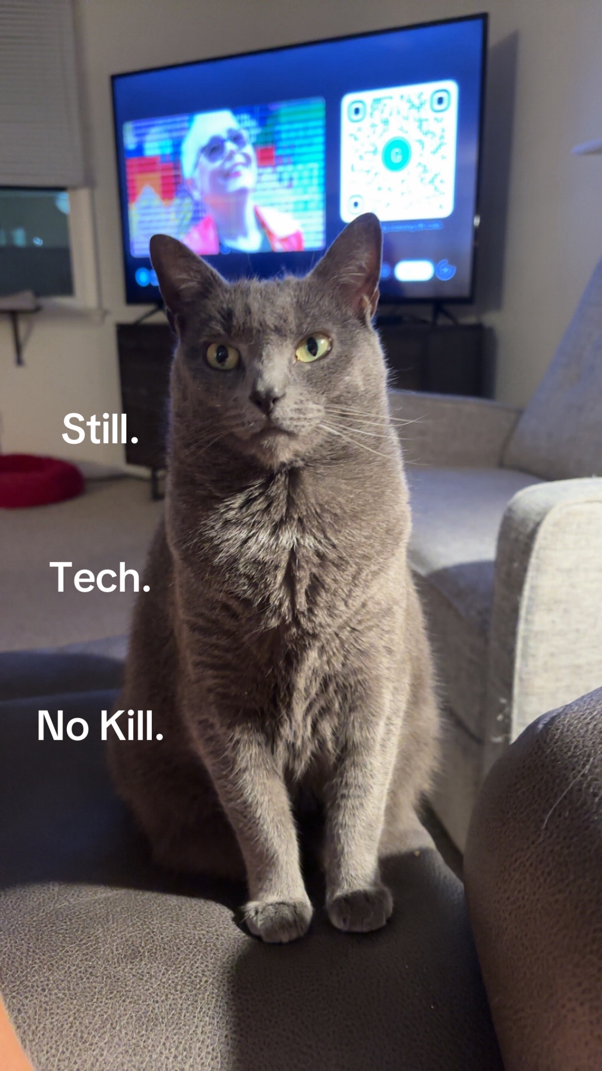@RomanBebipping_🤙