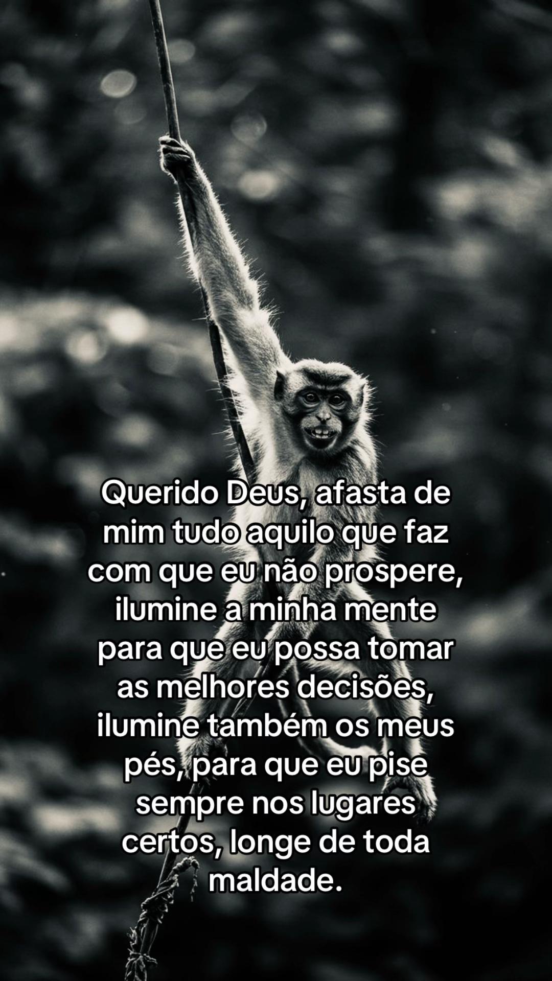 @junin 
