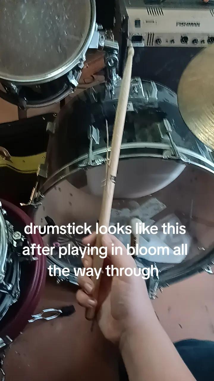 @✅️🔥🎸sillyBASSguy🎸🔥✅️