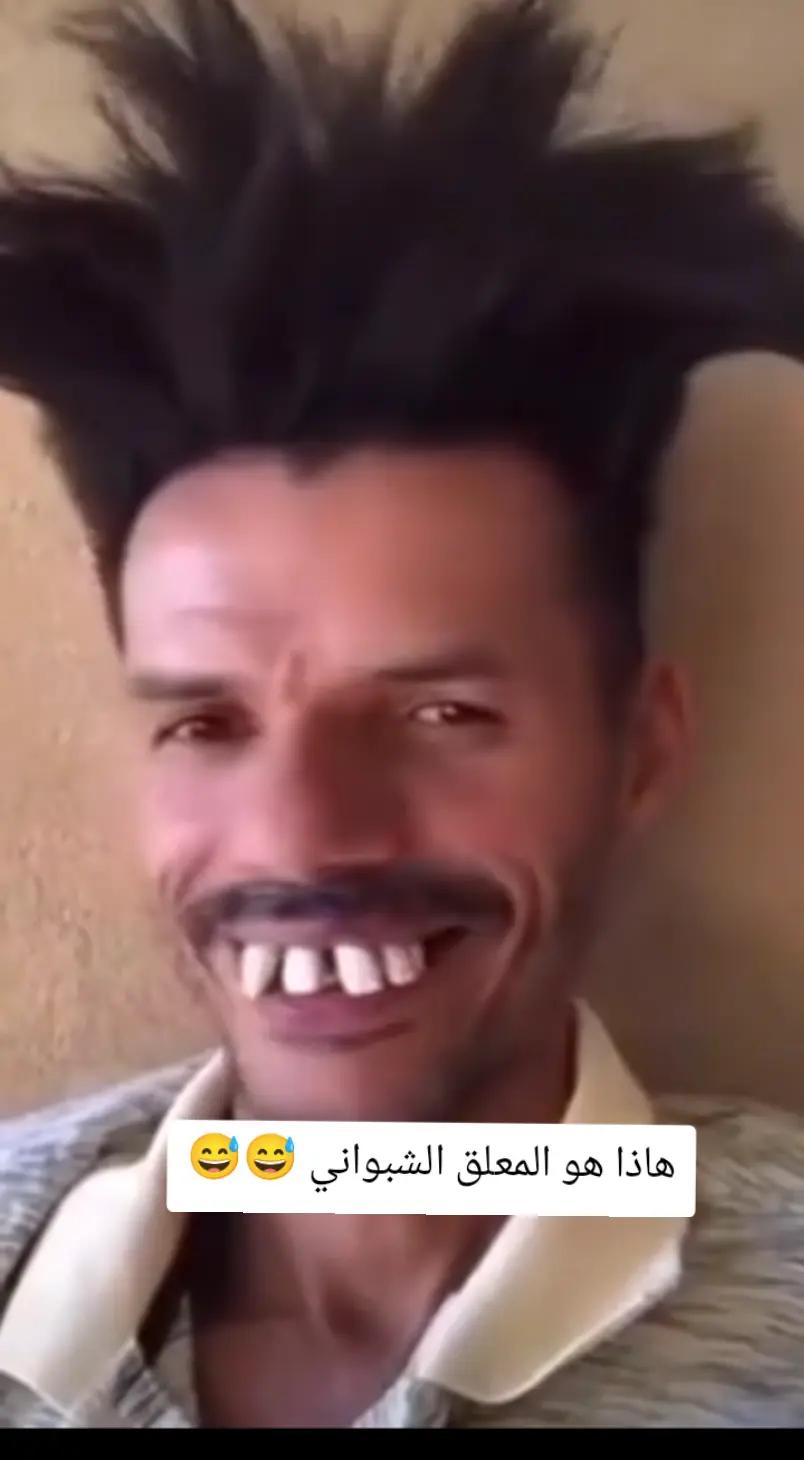 @سجاد2
