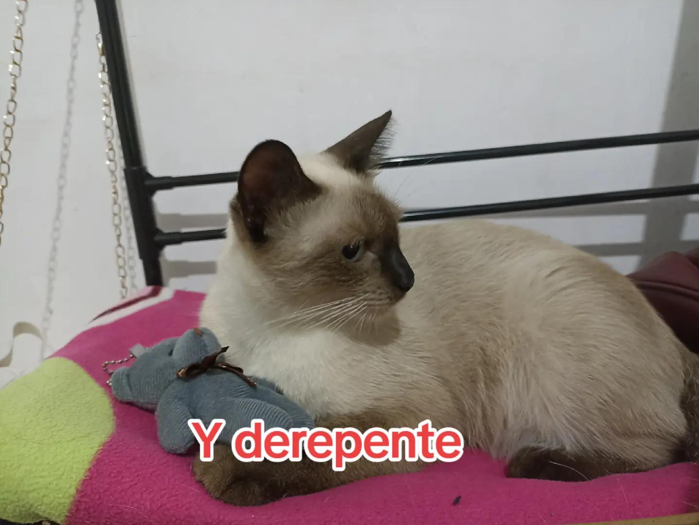 @Valentina roblos